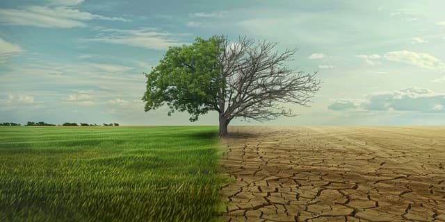 Strategic Investment