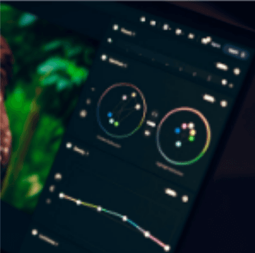 A Picture of your Current & Future Health